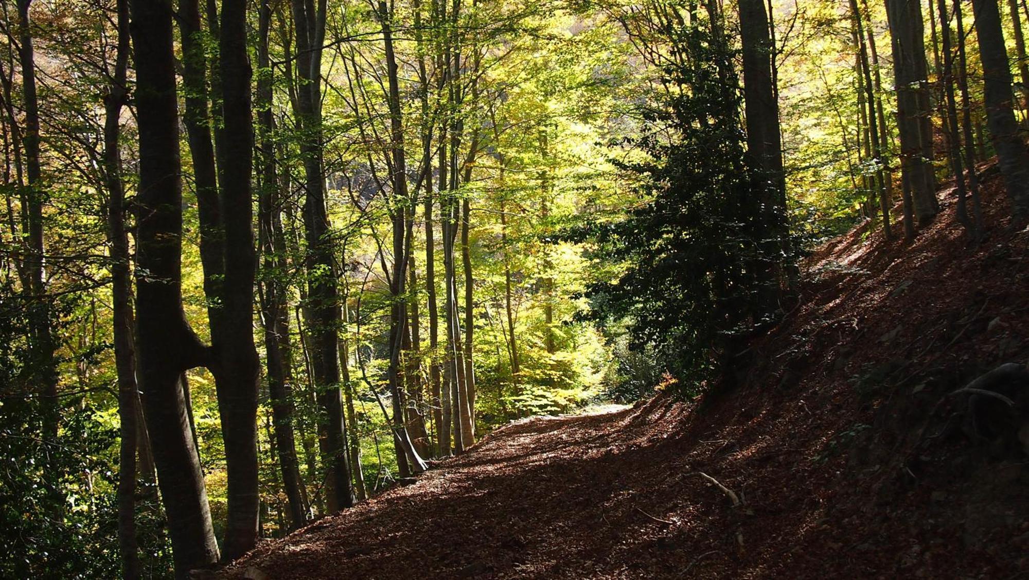 Mas Can Calet Aparthotel Les Franqueses del Vallès Exteriör bild